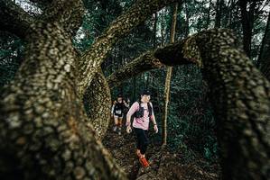 BIB: 
                            <button type="button" onclick="openModal(25703119)" class="btn btn-primary btn-sm float-right btn-popup" data-toggle="modal" data-target=".modal-high-quality">
                        <i class="fas fa-shopping-cart"></i> Add to Cart
                    </button>
                                            <button type="button" onclick="isThisMe(25703119, true)" class="btn btn-success btn-sm float-right btn-popup btn-isme hidden" data-toggle="tooltip" data-placement="bottom" title="นี่คือรูปของคุณใช่ไหม คลิกที่นี่เพื่อเอาเข้าอัลบั้ม">
                        <i class="fas fa-plus"></i> Add to album
                    </button>
                    <button type="button" onclick="isThisMe(25703119, false)" class="btn btn-warning btn-sm float-right btn-popup btn-isnotme hidden">
                        <i class="fas fa-ban"></i> Remove from album
                    </button>